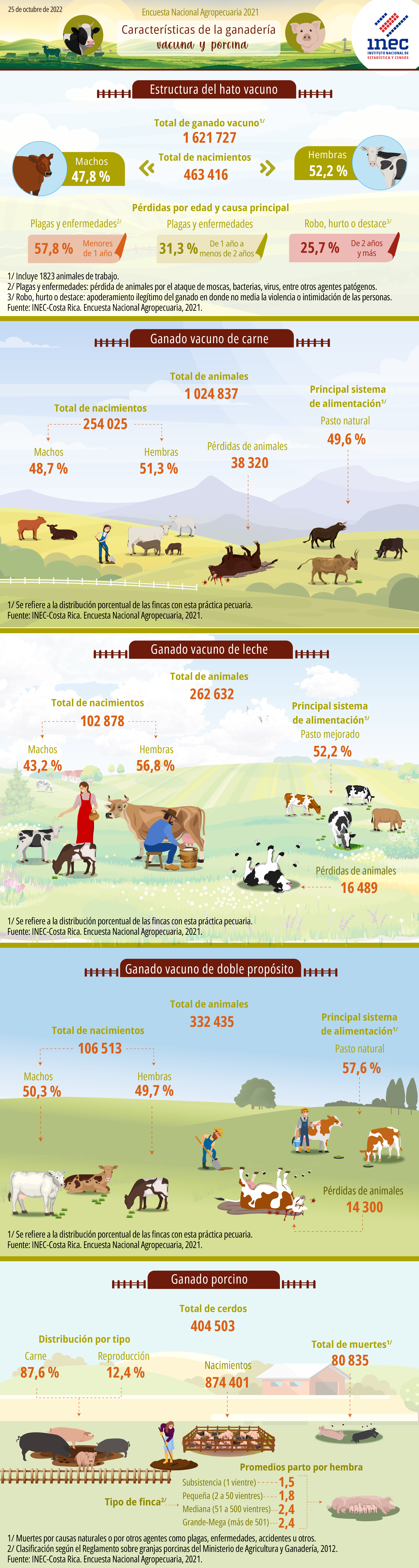 ENA 2021. Infografía. Características de la ganadería vacuna y porcina en Costa Rica.