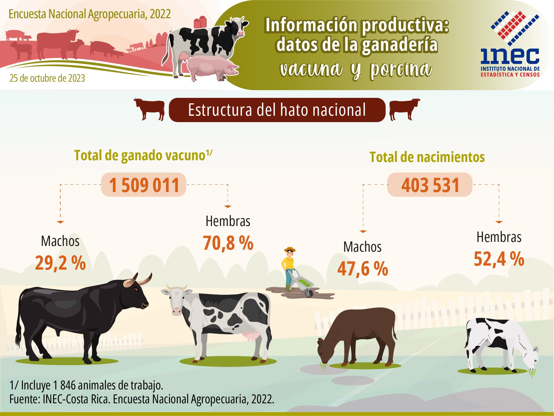 Infografía ENA 2022 - Actividad pecuaria - Módulo 1