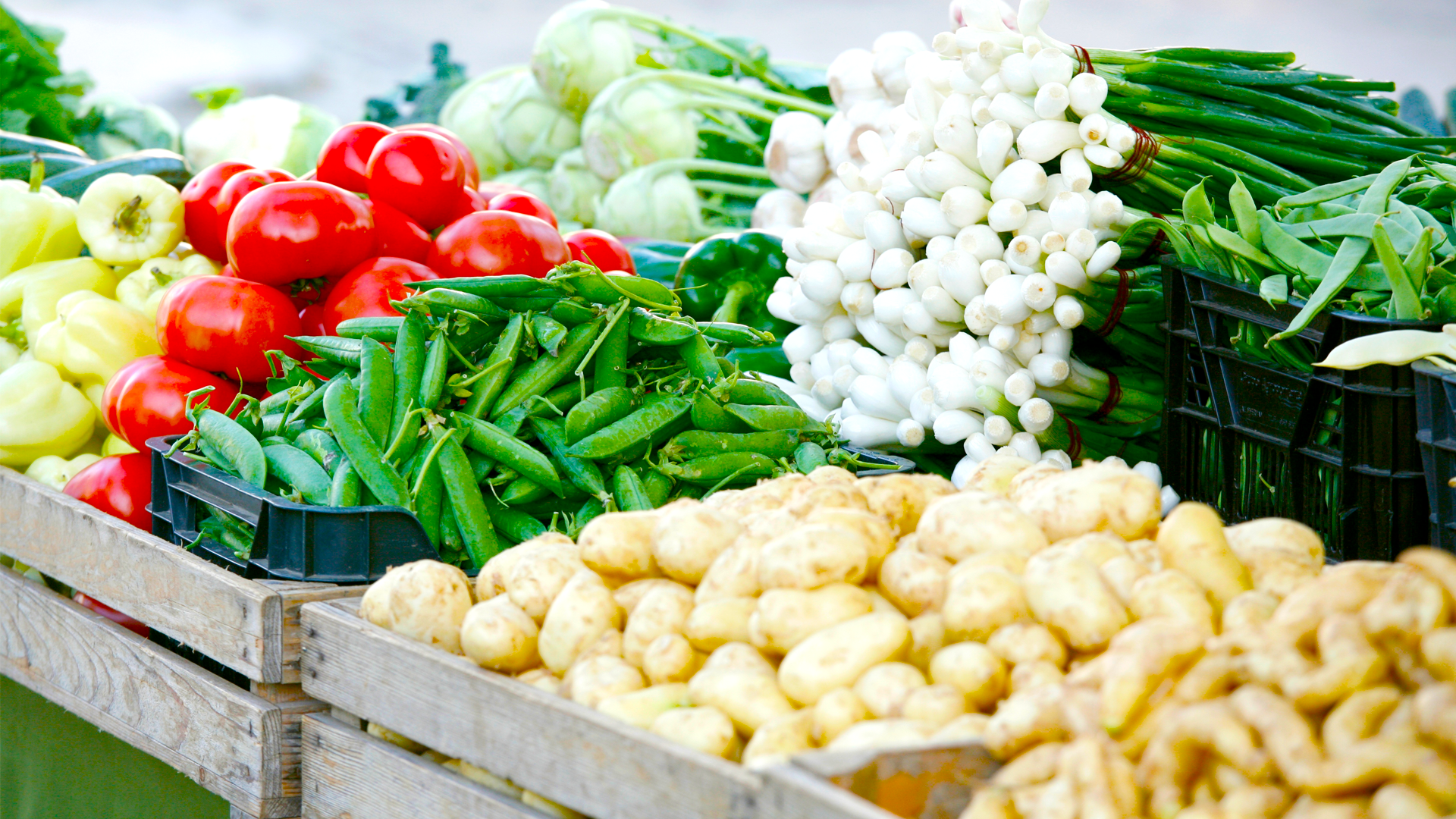 Verduras en cajones durante la feria. IPC, NOV 2023.