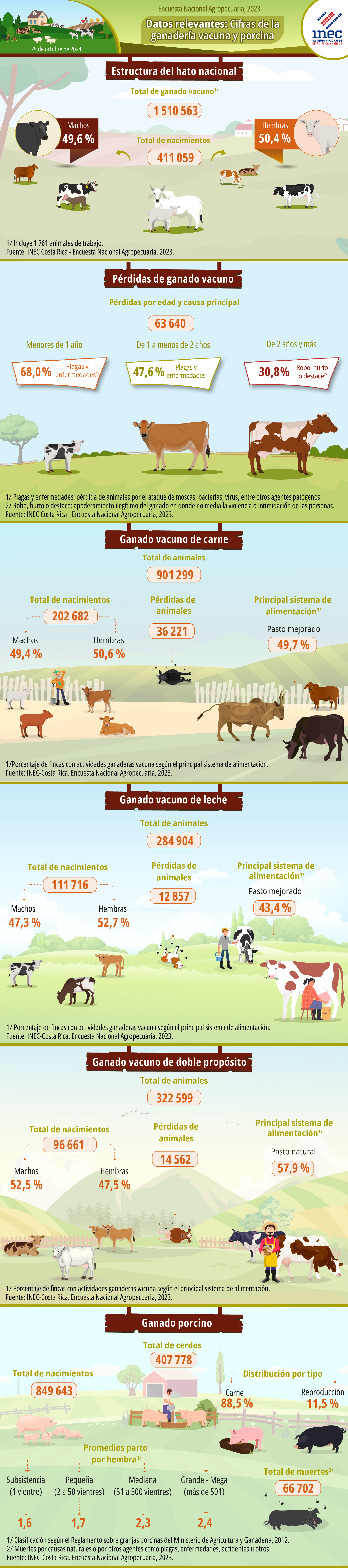 ENA. 2023. Infografía. Encuesta Nacional Agropecuaria 2023. Datos relevantes: Cifras de la ganadería vacuna y porcina.