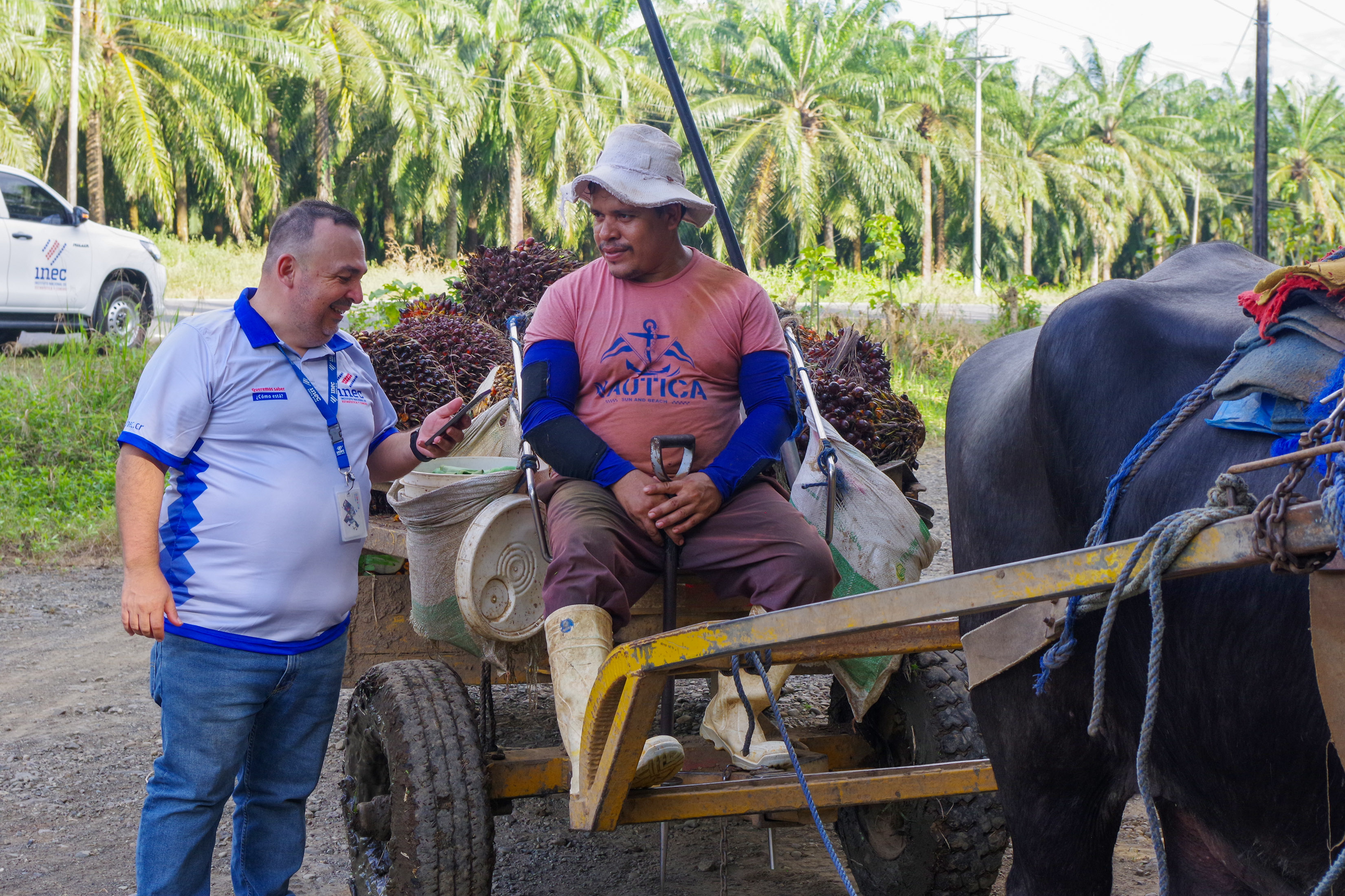 Entrevista a señor con buey