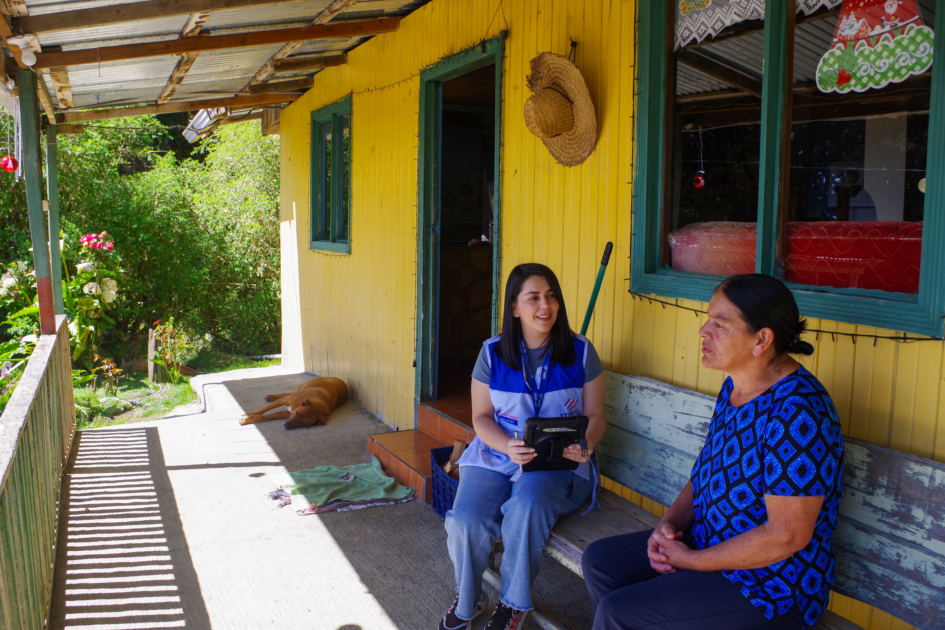 Entrevista casa amarilla